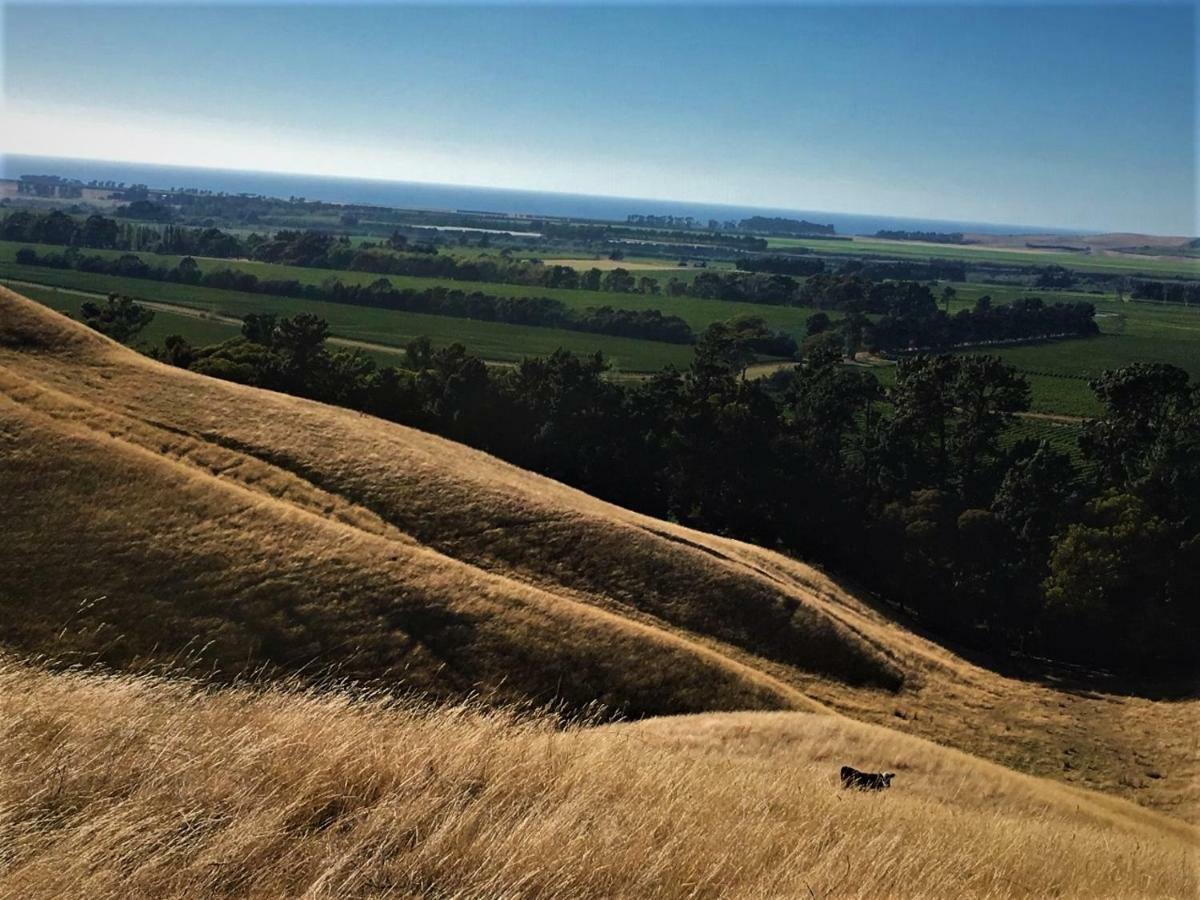 Lower Dashwood Hill Top Retreat מראה חיצוני תמונה